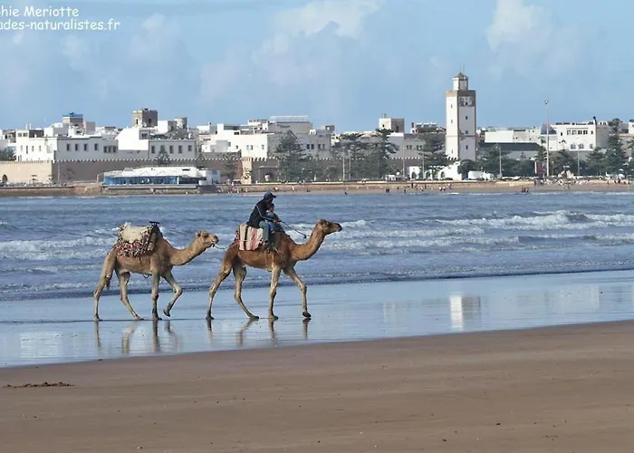 Appartement Essaouira Proche De La Mer